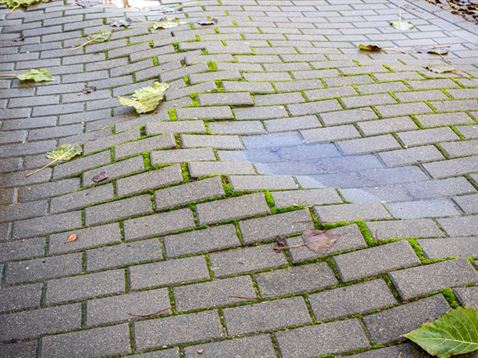 A brick walkway with leaves on it

AI-generated content may be incorrect.